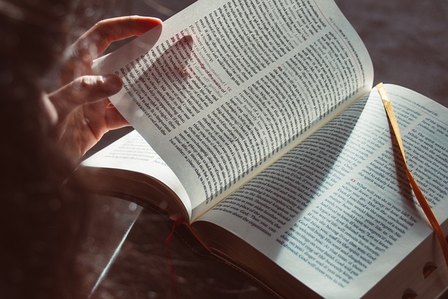 新加坡管理大学的校园环境安全舒适